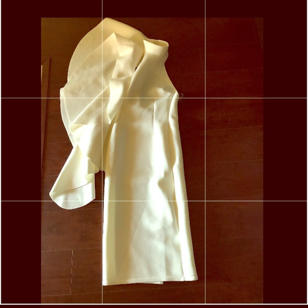 Exaggerated Sleeve Dress